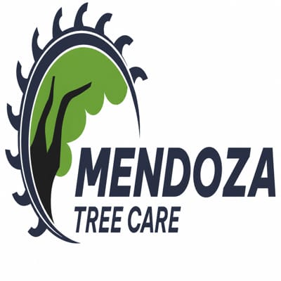 Mendoza Tree Care Services LLC